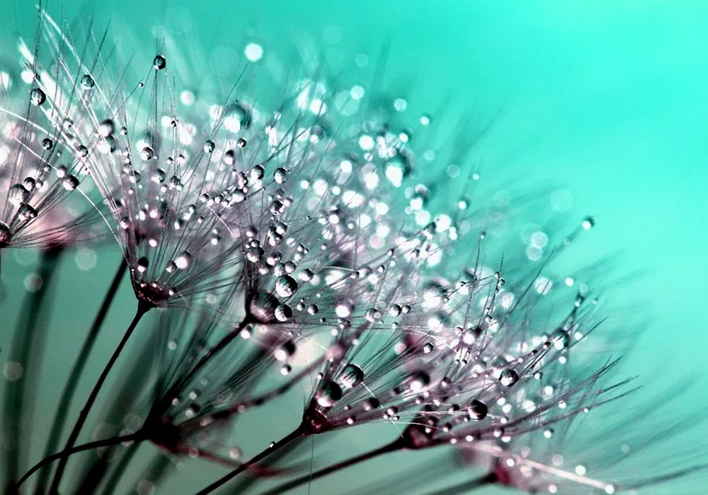 image-gallery-horzad8